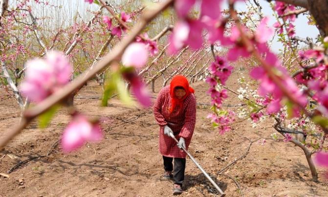 ���u��ī�^(q��)����r��(ji��)�r(n��ng)��æ