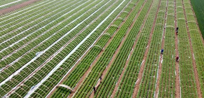 ���u��ī�^(q��)����r��(ji��)�r(n��ng)��æ